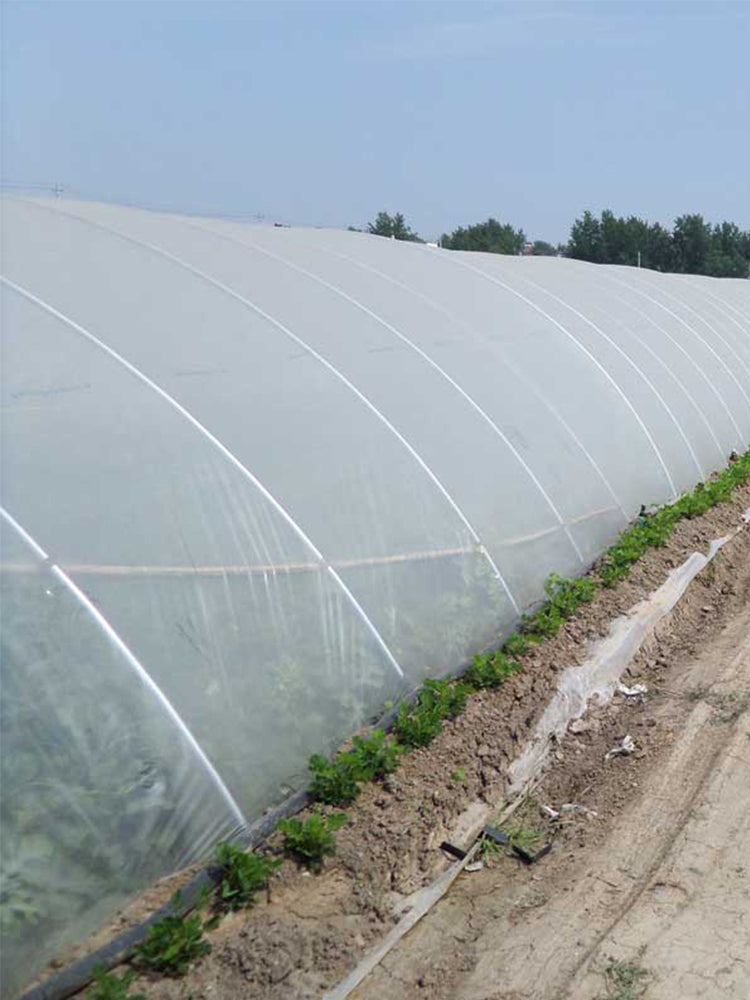 Agricultural Greenhouse Film Clear Plastic Farm Crops Vegetable Cover UV Resistant Polyethylene Covering Plants Flowers